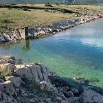 Sea Star - *