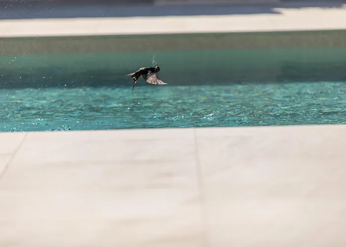 Вилла Sea Star - *